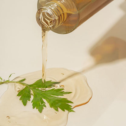 I’m From Mugwort Essence