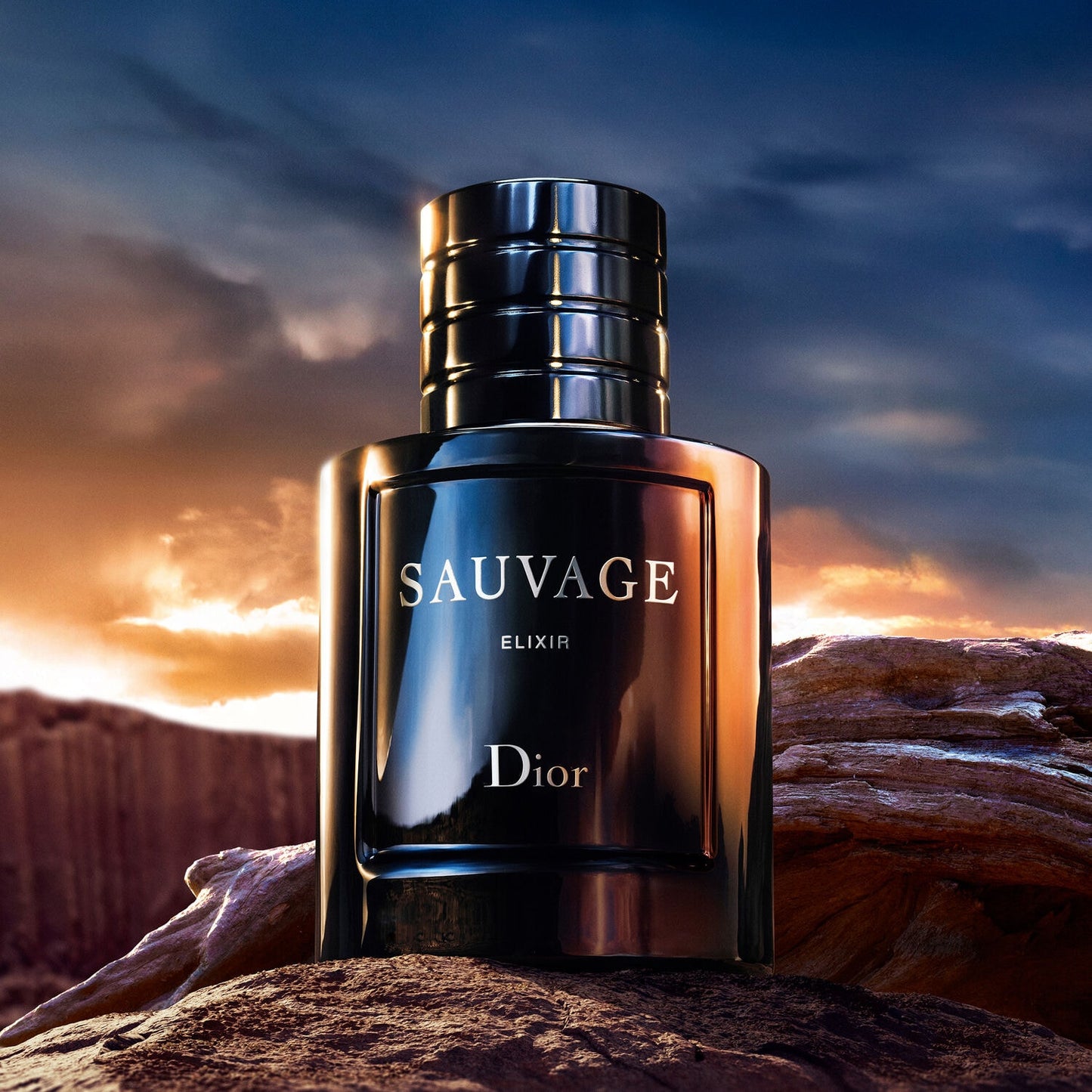 Sauvage Dior Elixir (10ml)